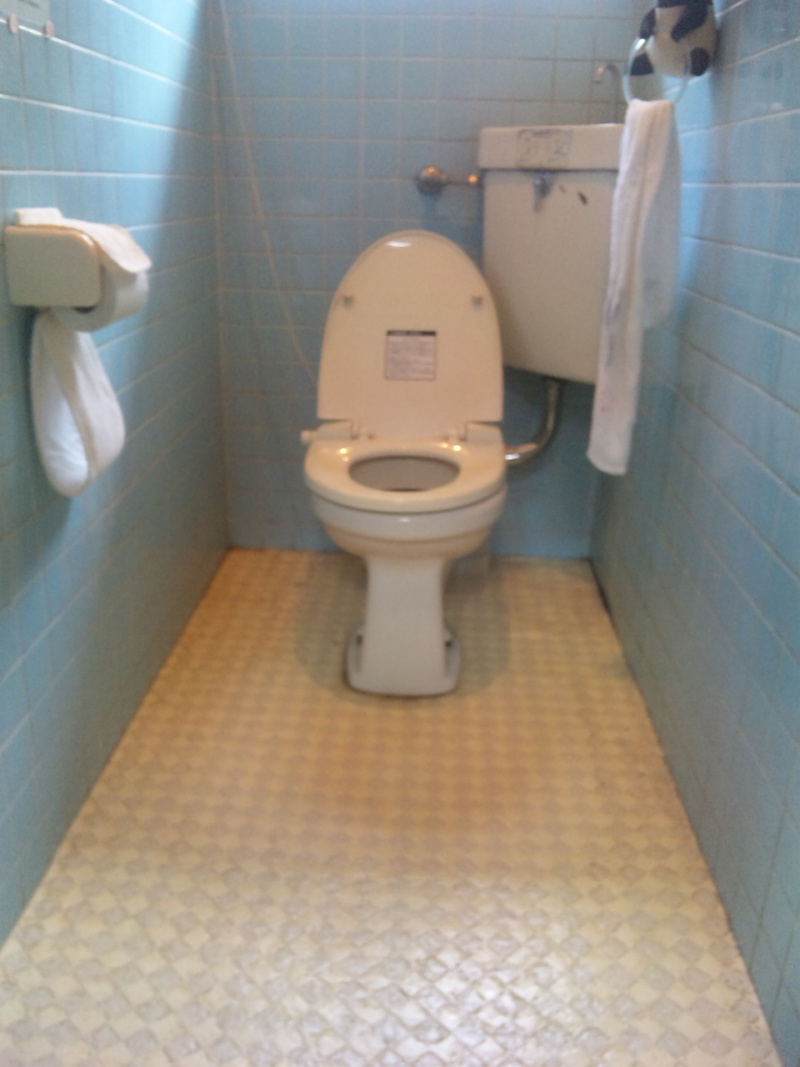 トイレの壁を鏡面ボードで美しく快適にしました トイレ すいすい工房*瑞穂市で長年お世話になっています