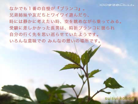 なかでも1番の自慢が『ブランコ』。