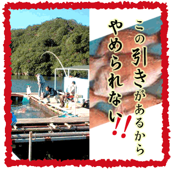 この引きがあるからやめられない