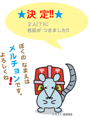決定!! 2人(?)に名前がつきました!! ぼくのなまえはメルチョンです。よろしくね