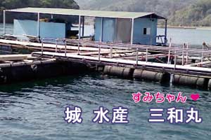 城水産 三和丸
